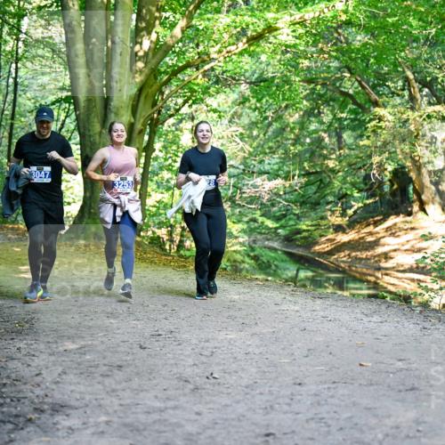 28.09.2025 - 33. Volkslauf durch das schöne Alstertal Dr. Thomas Lammeyer http://msf.ph/oto/8959743 28.09.2025 10:55:41 Laufen 3047, 3253 meine-sportfotos.de