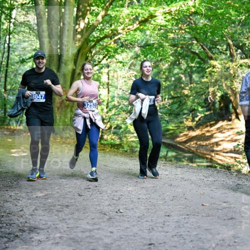28.09.2025 - 33. Volkslauf durch das schöne Alstertal Dr. Thomas Lammeyer http://msf.ph/oto/8959750 28.09.2025 10:55:41 Laufen 3047, 3253 meine-sportfotos.de