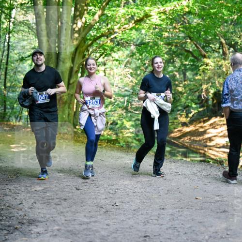 28.09.2025 - 33. Volkslauf durch das schöne Alstertal Dr. Thomas Lammeyer http://msf.ph/oto/8959753 28.09.2025 10:55:42 Laufen 3253 meine-sportfotos.de