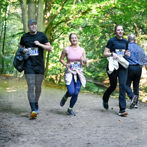28.09.2025 - 33. Volkslauf durch das schöne Alstertal Dr. Thomas Lammeyer http://msf.ph/oto/8959757 28.09.2025 10:55:42 Laufen 3047, 3253, 3028 meine-sportfotos.de