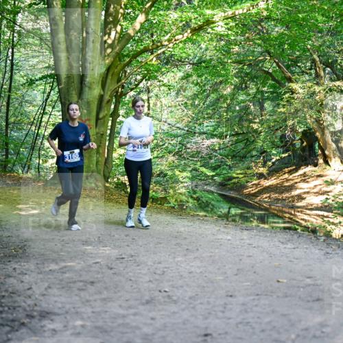 28.09.2025 - 33. Volkslauf durch das schöne Alstertal Dr. Thomas Lammeyer http://msf.ph/oto/8959773 28.09.2025 10:56:20 Laufen 3370, 3165 meine-sportfotos.de