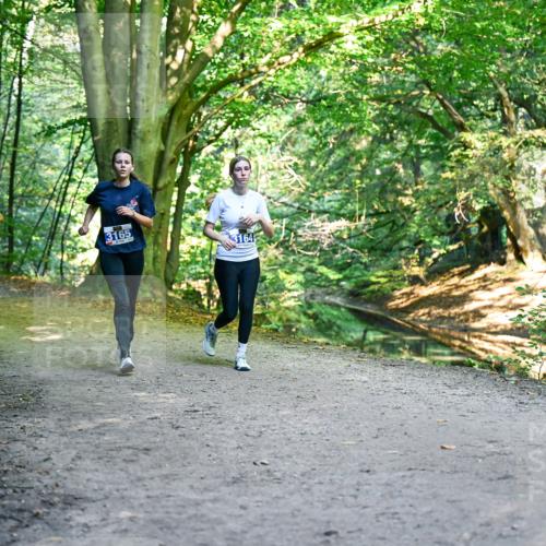 28.09.2025 - 33. Volkslauf durch das schöne Alstertal Dr. Thomas Lammeyer http://msf.ph/oto/8959774 28.09.2025 10:56:21 Laufen 3165, 3164 meine-sportfotos.de
