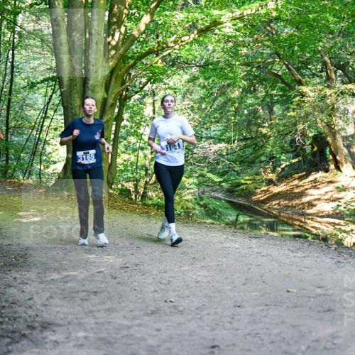 28.09.2025 - 33. Volkslauf durch das schöne Alstertal Dr. Thomas Lammeyer http://msf.ph/oto/8959776 28.09.2025 10:56:21 Laufen 33, 3165 meine-sportfotos.de