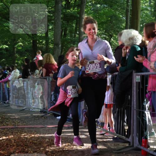 28.09.2025 - 33. Volkslauf durch das schöne Alstertal Strokosch-Dieckow http://msf.ph/oto/8959777 28.09.2025 10:46:51 Ziel 5032, 5953, 5958, 5959, 5969 meine-sportfotos.de