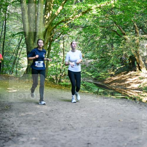 28.09.2025 - 33. Volkslauf durch das schöne Alstertal Dr. Thomas Lammeyer http://msf.ph/oto/8959778 28.09.2025 10:56:21 Laufen 3165 meine-sportfotos.de
