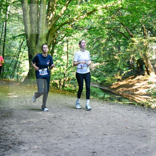 28.09.2025 - 33. Volkslauf durch das schöne Alstertal Dr. Thomas Lammeyer http://msf.ph/oto/8959779 28.09.2025 10:56:21 Laufen 3370, 3165, 3164 meine-sportfotos.de
