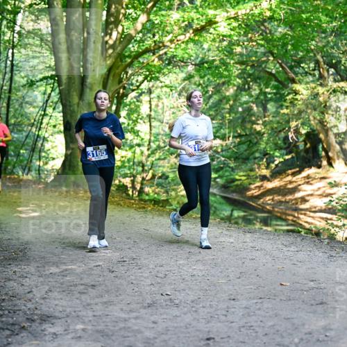 28.09.2025 - 33. Volkslauf durch das schöne Alstertal Dr. Thomas Lammeyer http://msf.ph/oto/8959780 28.09.2025 10:56:21 Laufen 370, 3165 meine-sportfotos.de
