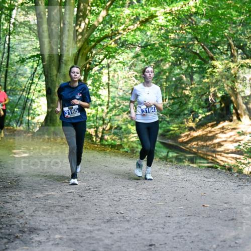 28.09.2025 - 33. Volkslauf durch das schöne Alstertal Dr. Thomas Lammeyer http://msf.ph/oto/8959782 28.09.2025 10:56:21 Laufen 00, 3165, 3164 meine-sportfotos.de