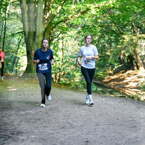 28.09.2025 - 33. Volkslauf durch das schöne Alstertal Dr. Thomas Lammeyer http://msf.ph/oto/8959783 28.09.2025 10:56:21 Laufen 3370, 3165 meine-sportfotos.de
