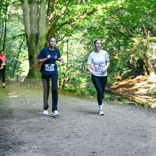 28.09.2025 - 33. Volkslauf durch das schöne Alstertal Dr. Thomas Lammeyer http://msf.ph/oto/8959784 28.09.2025 10:56:22 Laufen 3165, 316 meine-sportfotos.de
