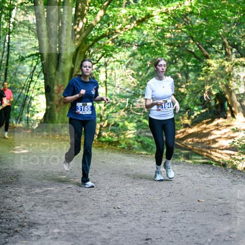 28.09.2025 - 33. Volkslauf durch das schöne Alstertal Dr. Thomas Lammeyer http://msf.ph/oto/8959785 28.09.2025 10:56:22 Laufen 3370, 3165 meine-sportfotos.de