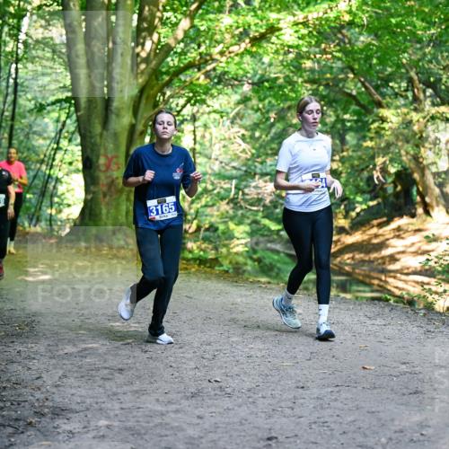 28.09.2025 - 33. Volkslauf durch das schöne Alstertal Dr. Thomas Lammeyer http://msf.ph/oto/8959786 28.09.2025 10:56:22 Laufen 3370, 3165 meine-sportfotos.de