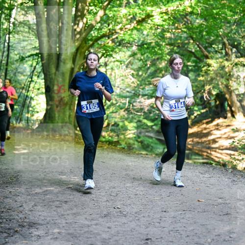 28.09.2025 - 33. Volkslauf durch das schöne Alstertal Dr. Thomas Lammeyer http://msf.ph/oto/8959787 28.09.2025 10:56:22 Laufen 3165, 3164 meine-sportfotos.de