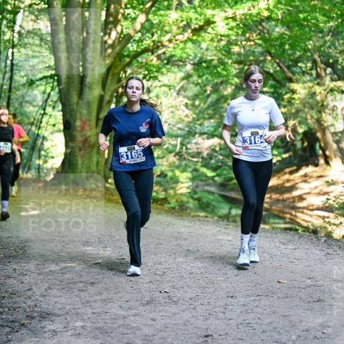 28.09.2025 - 33. Volkslauf durch das schöne Alstertal Dr. Thomas Lammeyer http://msf.ph/oto/8959789 28.09.2025 10:56:22 Laufen 3165, 3164 meine-sportfotos.de
