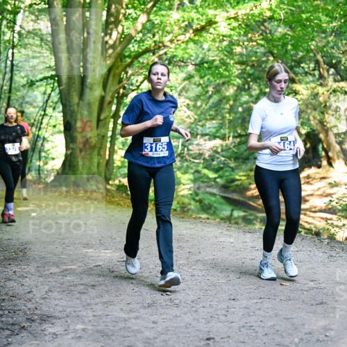 28.09.2025 - 33. Volkslauf durch das schöne Alstertal Dr. Thomas Lammeyer http://msf.ph/oto/8959790 28.09.2025 10:56:22 Laufen 3165, 64 meine-sportfotos.de