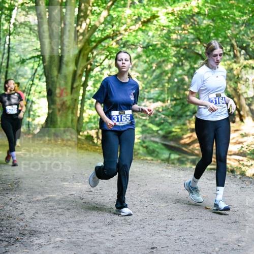 28.09.2025 - 33. Volkslauf durch das schöne Alstertal Dr. Thomas Lammeyer http://msf.ph/oto/8959791 28.09.2025 10:56:23 Laufen 3165, 3164 meine-sportfotos.de