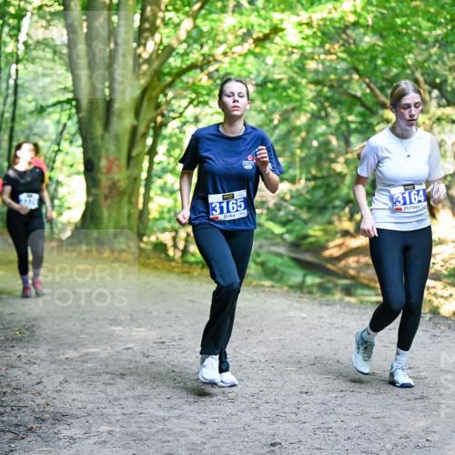 28.09.2025 - 33. Volkslauf durch das schöne Alstertal Dr. Thomas Lammeyer http://msf.ph/oto/8959792 28.09.2025 10:56:23 Laufen 3165, 3164 meine-sportfotos.de