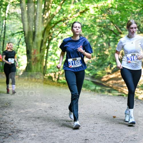 28.09.2025 - 33. Volkslauf durch das schöne Alstertal Dr. Thomas Lammeyer http://msf.ph/oto/8959793 28.09.2025 10:56:23 Laufen 3165, 316 meine-sportfotos.de