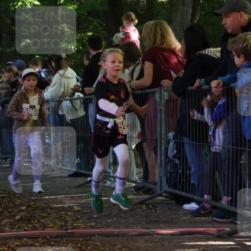 28.09.2025 - 33. Volkslauf durch das schöne Alstertal Strokosch-Dieckow http://msf.ph/oto/8959794 28.09.2025 10:46:54 Ziel 5032, 5953, 5969 meine-sportfotos.de