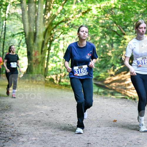 28.09.2025 - 33. Volkslauf durch das schöne Alstertal Dr. Thomas Lammeyer http://msf.ph/oto/8959795 28.09.2025 10:56:23 Laufen 3165, 3164 meine-sportfotos.de