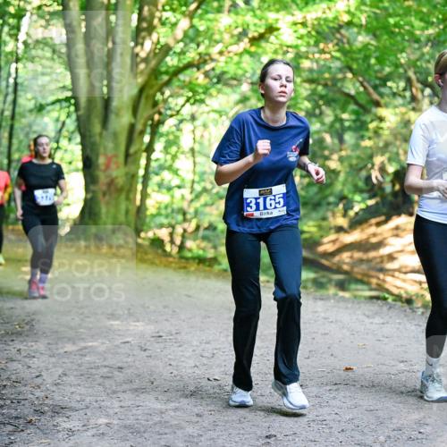 28.09.2025 - 33. Volkslauf durch das schöne Alstertal Dr. Thomas Lammeyer http://msf.ph/oto/8959796 28.09.2025 10:56:23 Laufen 3165, 164 meine-sportfotos.de