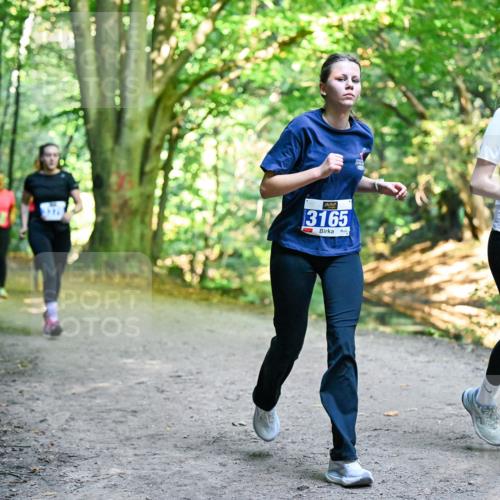 28.09.2025 - 33. Volkslauf durch das schöne Alstertal Dr. Thomas Lammeyer http://msf.ph/oto/8959797 28.09.2025 10:56:23 Laufen 3165, 3164 meine-sportfotos.de