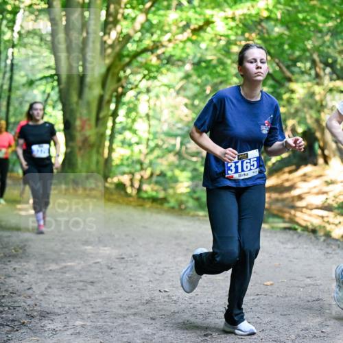 28.09.2025 - 33. Volkslauf durch das schöne Alstertal Dr. Thomas Lammeyer http://msf.ph/oto/8959799 28.09.2025 10:56:23 Laufen 3165, 3164 meine-sportfotos.de