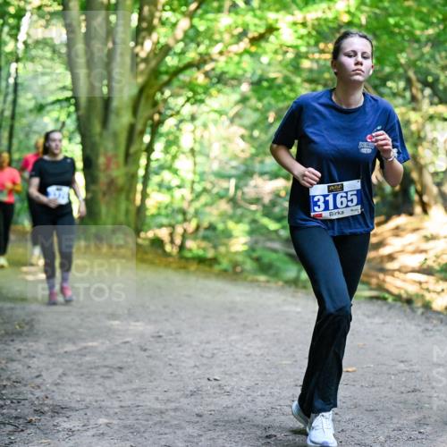 28.09.2025 - 33. Volkslauf durch das schöne Alstertal Dr. Thomas Lammeyer http://msf.ph/oto/8959800 28.09.2025 10:56:24 Laufen 3165, 3164 meine-sportfotos.de