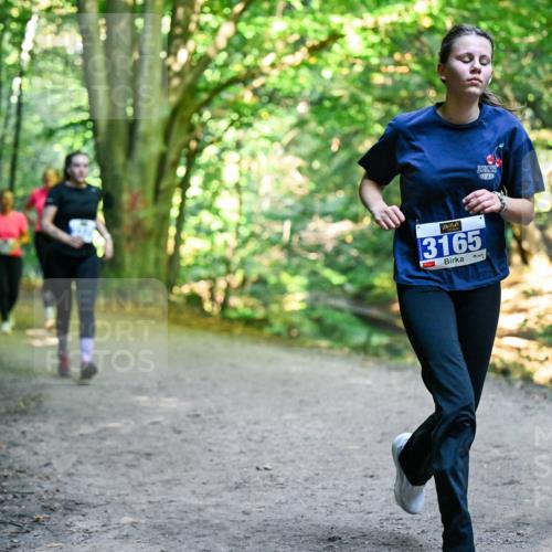 28.09.2025 - 33. Volkslauf durch das schöne Alstertal Dr. Thomas Lammeyer http://msf.ph/oto/8959801 28.09.2025 10:56:24 Laufen 3165, 13 meine-sportfotos.de