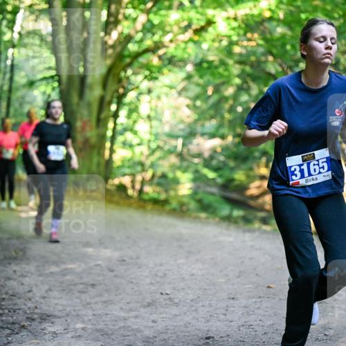 28.09.2025 - 33. Volkslauf durch das schöne Alstertal Dr. Thomas Lammeyer http://msf.ph/oto/8959802 28.09.2025 10:56:24 Laufen 3165 meine-sportfotos.de