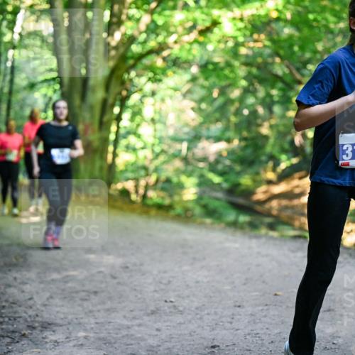 28.09.2025 - 33. Volkslauf durch das schöne Alstertal Dr. Thomas Lammeyer http://msf.ph/oto/8959803 28.09.2025 10:56:24 Laufen 3165 meine-sportfotos.de