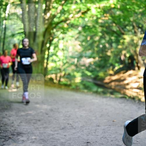 28.09.2025 - 33. Volkslauf durch das schöne Alstertal Dr. Thomas Lammeyer http://msf.ph/oto/8959804 28.09.2025 10:56:24 Laufen 3165 meine-sportfotos.de