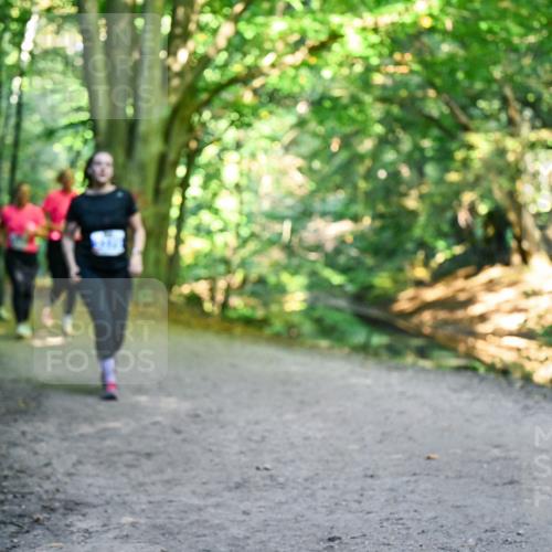 28.09.2025 - 33. Volkslauf durch das schöne Alstertal Dr. Thomas Lammeyer http://msf.ph/oto/8959805 28.09.2025 10:56:24 Laufen 3 meine-sportfotos.de