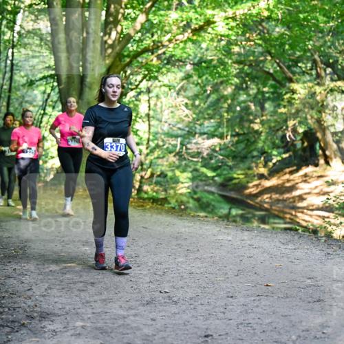 28.09.2025 - 33. Volkslauf durch das schöne Alstertal Dr. Thomas Lammeyer http://msf.ph/oto/8959808 28.09.2025 10:56:25 Laufen 3370 meine-sportfotos.de