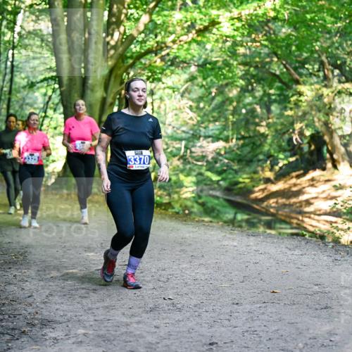 28.09.2025 - 33. Volkslauf durch das schöne Alstertal Dr. Thomas Lammeyer http://msf.ph/oto/8959810 28.09.2025 10:56:25 Laufen 3370 meine-sportfotos.de
