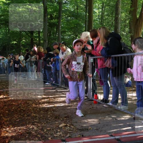 28.09.2025 - 33. Volkslauf durch das schöne Alstertal Strokosch-Dieckow http://msf.ph/oto/8959820 28.09.2025 10:46:56 Ziel 5032, 5953, 5969 meine-sportfotos.de