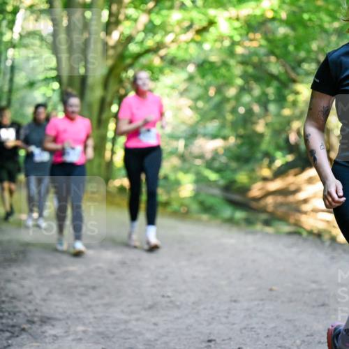 28.09.2025 - 33. Volkslauf durch das schöne Alstertal Dr. Thomas Lammeyer http://msf.ph/oto/8959826 28.09.2025 10:56:27 Laufen 3370 meine-sportfotos.de