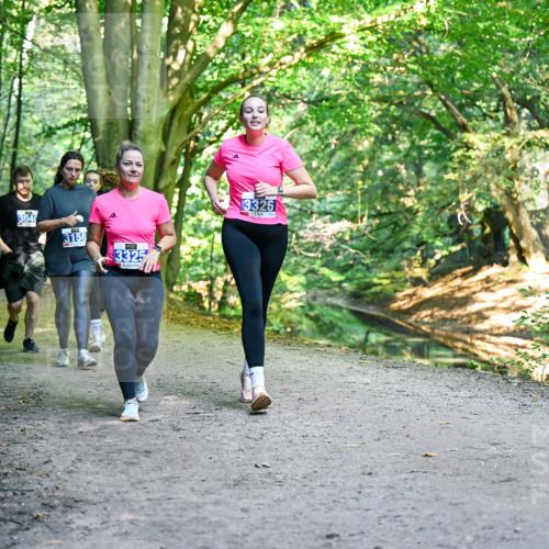 28.09.2025 - 33. Volkslauf durch das schöne Alstertal Dr. Thomas Lammeyer http://msf.ph/oto/8959827 28.09.2025 10:56:28 Laufen 3040, 3158, 3325, 13326 meine-sportfotos.de