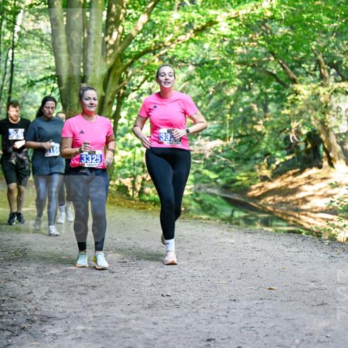 28.09.2025 - 33. Volkslauf durch das schöne Alstertal Dr. Thomas Lammeyer http://msf.ph/oto/8959828 28.09.2025 10:56:28 Laufen 158, 3325, 33 meine-sportfotos.de