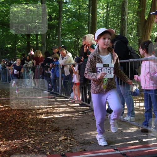 28.09.2025 - 33. Volkslauf durch das schöne Alstertal Strokosch-Dieckow http://msf.ph/oto/8959829 28.09.2025 10:46:57 Ziel 5032 meine-sportfotos.de