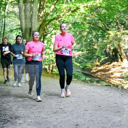28.09.2025 - 33. Volkslauf durch das schöne Alstertal Dr. Thomas Lammeyer http://msf.ph/oto/8959830 28.09.2025 10:56:28 Laufen 3158, 13325, 3326 meine-sportfotos.de