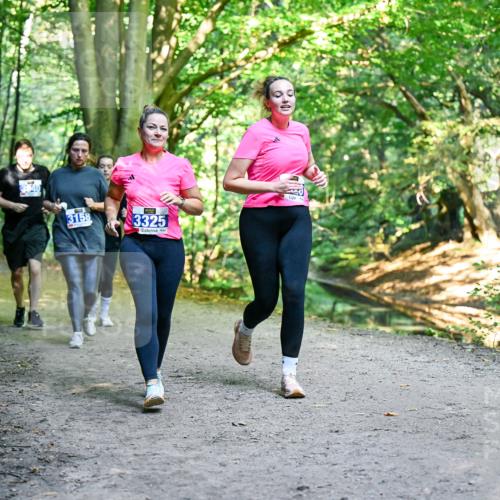 28.09.2025 - 33. Volkslauf durch das schöne Alstertal Dr. Thomas Lammeyer http://msf.ph/oto/8959832 28.09.2025 10:56:28 Laufen 3840, 3158, 3325 meine-sportfotos.de
