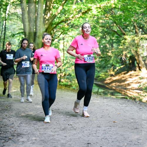 28.09.2025 - 33. Volkslauf durch das schöne Alstertal Dr. Thomas Lammeyer http://msf.ph/oto/8959833 28.09.2025 10:56:28 Laufen 3040, 3158, 3325, 3326 meine-sportfotos.de