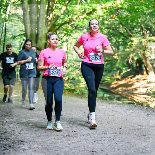 28.09.2025 - 33. Volkslauf durch das schöne Alstertal Dr. Thomas Lammeyer http://msf.ph/oto/8959834 28.09.2025 10:56:29 Laufen 3040, 3158, 3325, 13326 meine-sportfotos.de