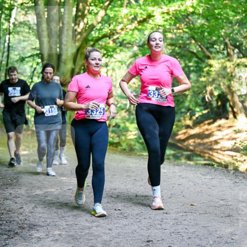 28.09.2025 - 33. Volkslauf durch das schöne Alstertal Dr. Thomas Lammeyer http://msf.ph/oto/8959836 28.09.2025 10:56:29 Laufen 3040, 3158, 13325, 33 meine-sportfotos.de