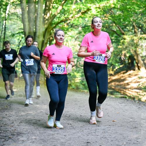 28.09.2025 - 33. Volkslauf durch das schöne Alstertal Dr. Thomas Lammeyer http://msf.ph/oto/8959837 28.09.2025 10:56:29 Laufen 3040, 3158, 13325, 3326 meine-sportfotos.de