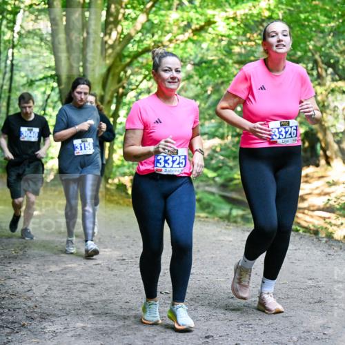 28.09.2025 - 33. Volkslauf durch das schöne Alstertal Dr. Thomas Lammeyer http://msf.ph/oto/8959840 28.09.2025 10:56:29 Laufen 3040, 3158, 3325, 3326 meine-sportfotos.de