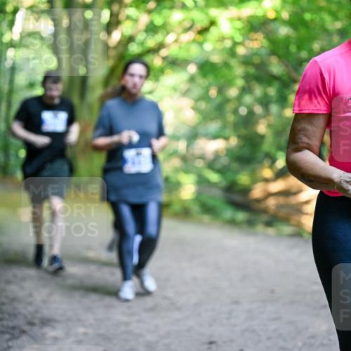 28.09.2025 - 33. Volkslauf durch das schöne Alstertal Dr. Thomas Lammeyer http://msf.ph/oto/8959848 28.09.2025 10:56:31 Laufen 325 meine-sportfotos.de