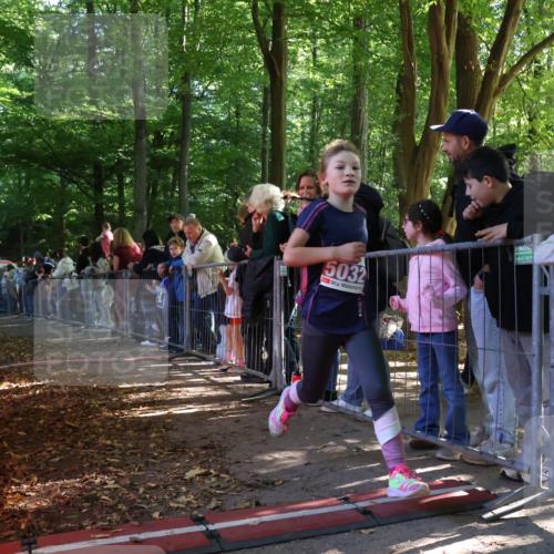 28.09.2025 - 33. Volkslauf durch das schöne Alstertal Strokosch-Dieckow http://msf.ph/oto/8959850 28.09.2025 10:46:59 Ziel 5032 meine-sportfotos.de