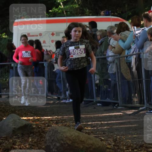 28.09.2025 - 33. Volkslauf durch das schöne Alstertal Strokosch-Dieckow http://msf.ph/oto/8959856 28.09.2025 10:47:09 Ziel 5964, 5965 meine-sportfotos.de